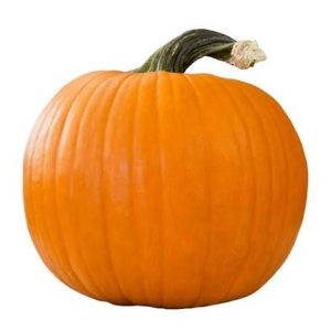 Pumkin